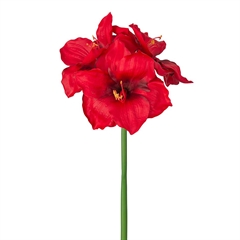 Kunstig blomst på stilk - Amaryllis 65 cm. - Rød